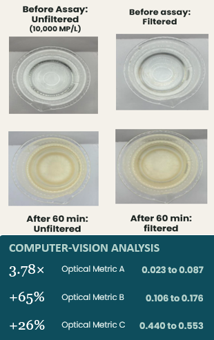 Clear water before reagent; spiked demonstration sample